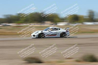 media/Oct-04-2025-OnGrid (Sat) [[44bd565ffa]]/Green Group/Grapevine/